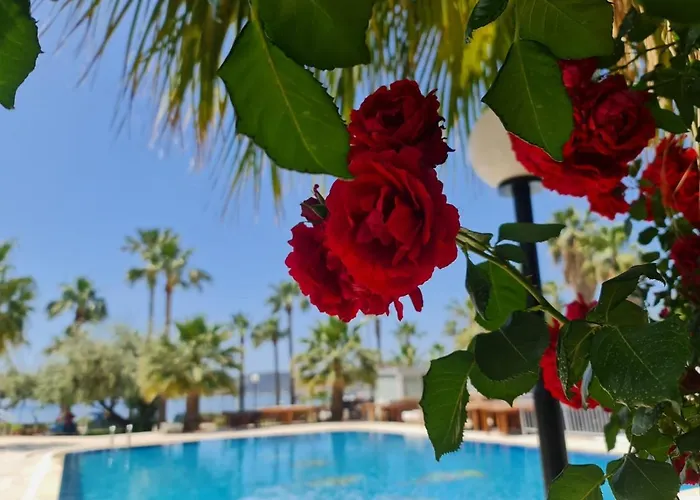 ناجي بيتش 3*