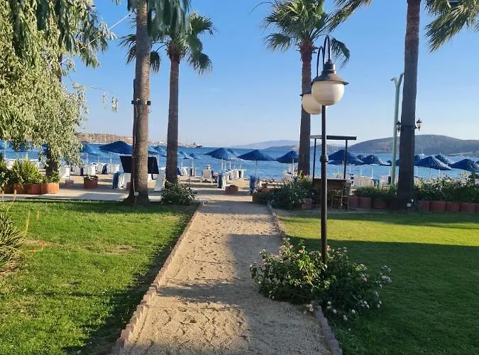 ناجي بيتش 3* غومْبيت