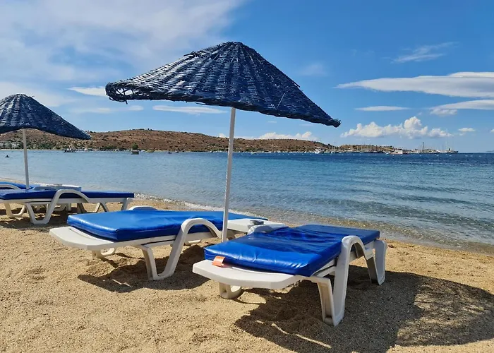 ناجي بيتش 3* غومْبيت