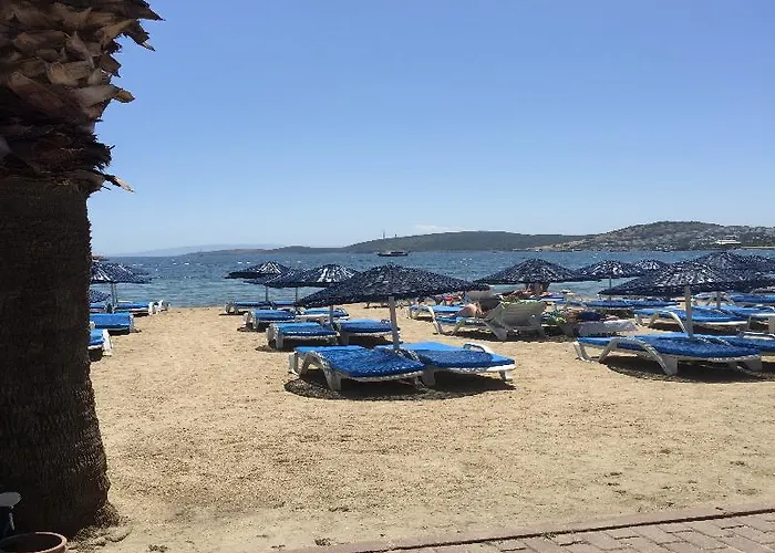 ناجي بيتش 3*