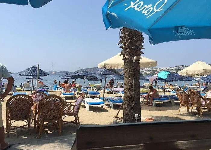 فندق ناجي بيتش 3*