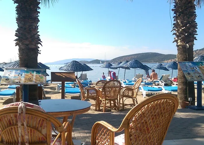 ناجي بيتش 3*