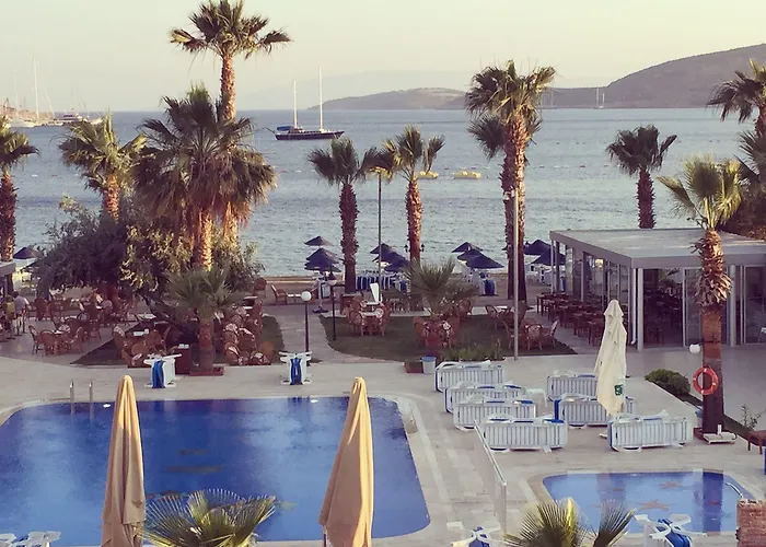 ناجي بيتش فندق