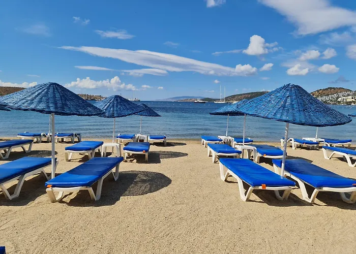 ناجي بيتش فندق