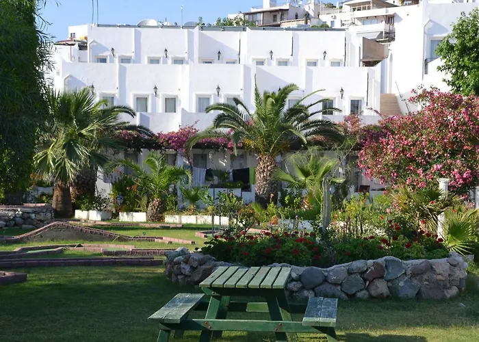 ناجي بيتش فندق 3*