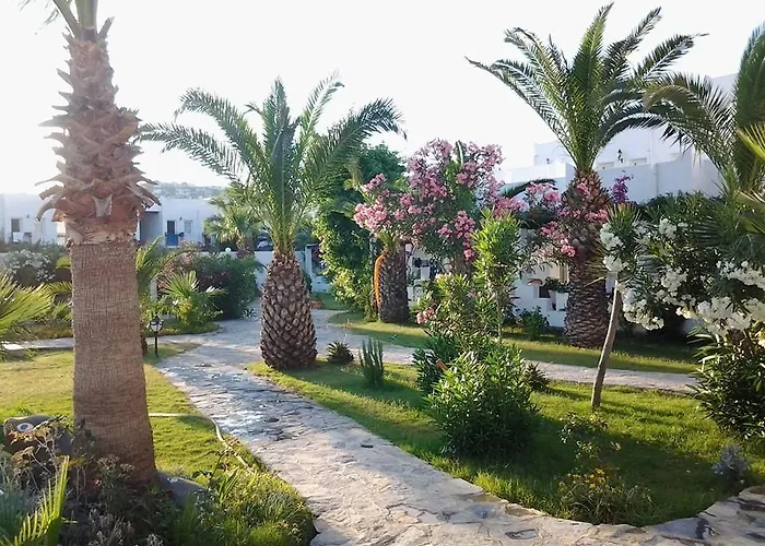 ناجي بيتش 3*