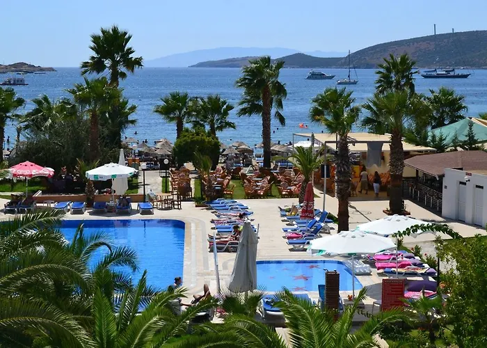 ناجي بيتش فندق