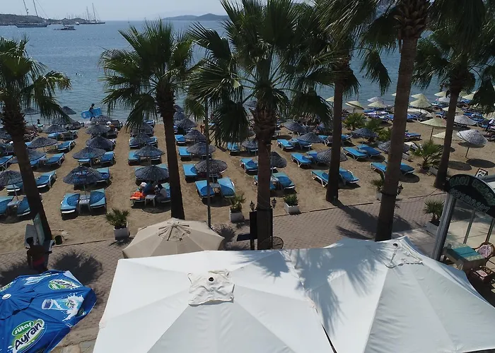 ناجي بيتش 3*