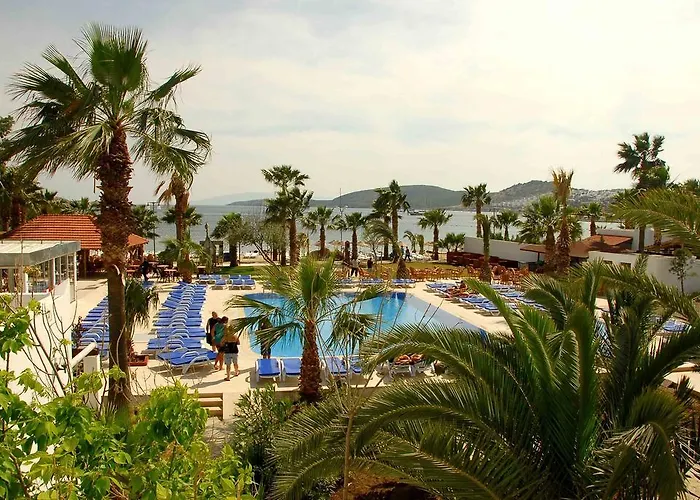 ناجي بيتش 3* غومْبيت