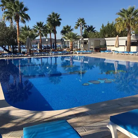 Nagi 3* غومْبيت